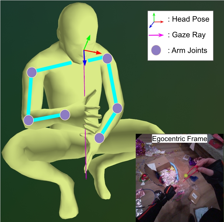Figure 2: Visuomotor Coordination Representation.